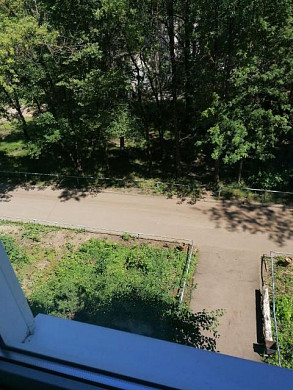 Пока женщина была на даче, во дворе ее дома спилили деревья